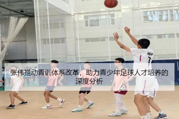 张伟推动青训体系改革，助力青少年足球人才培养的深度分析